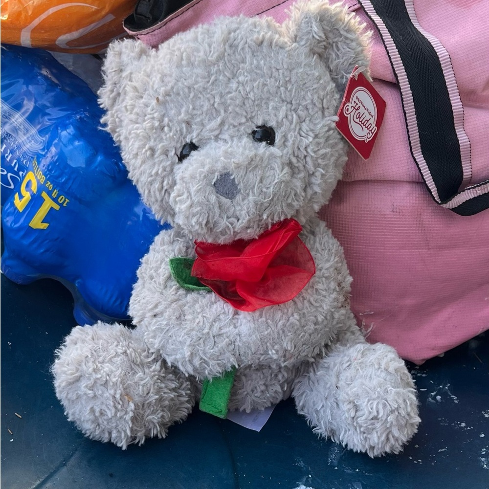 Hallmark Fluffy Teddy Bear with Red Rose